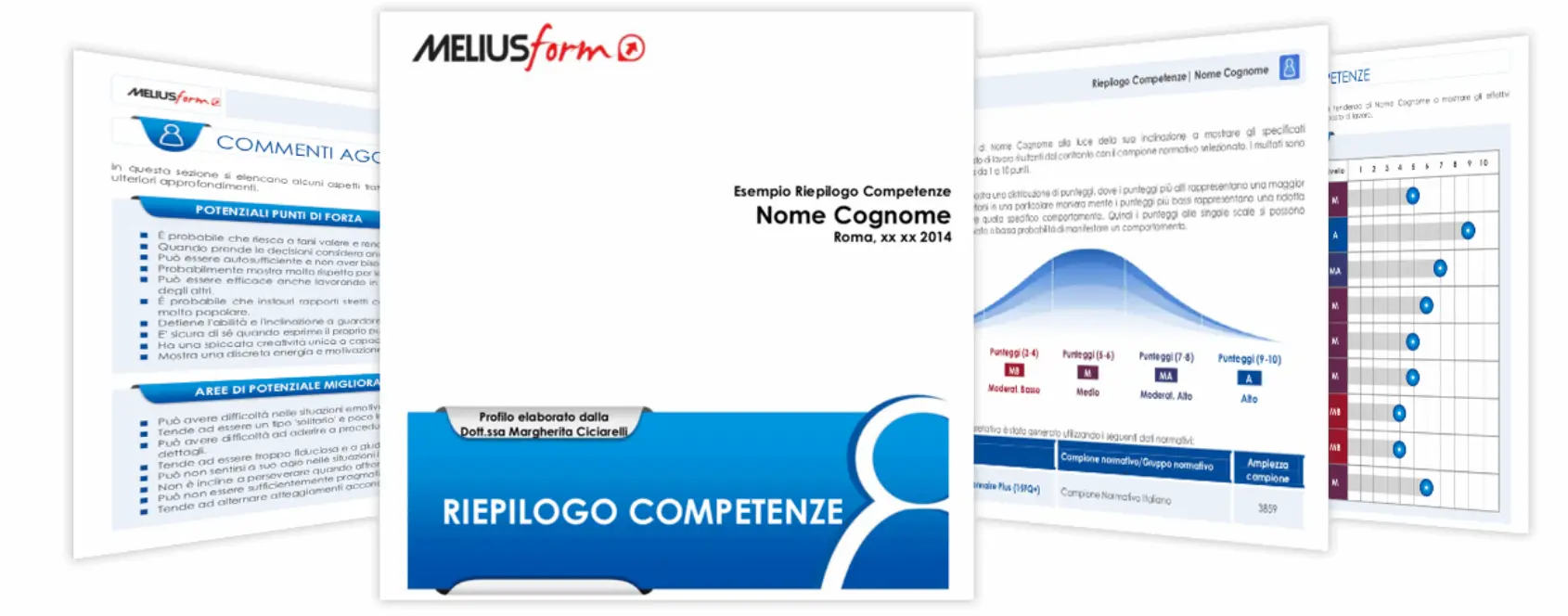 riepilogo competenze