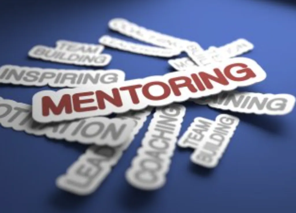 Placement and Careers Services - I PERCORSI DI MENTORING NEI PROCESSI DI FORMAZIONE PROFESSIONALE