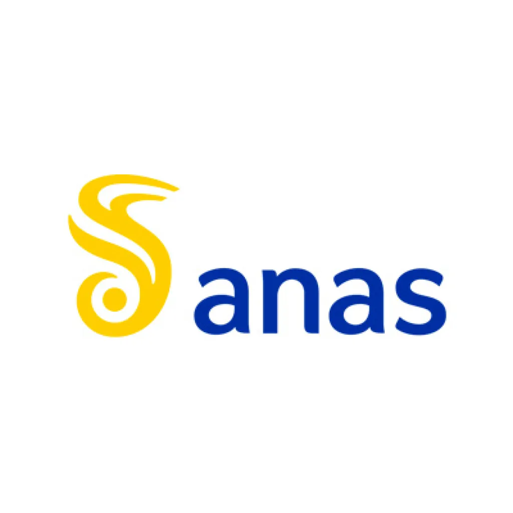 Anas Strade logo